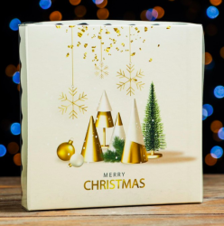 Изображение Коробочка для печенья "Рождество", 15 х 15 х 3 см
