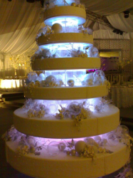 Изображение Светодиод для подсветки торта 1D Белый, 1 шт