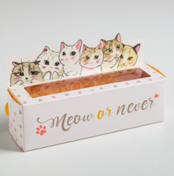 Изображение Коробочка для макарун Meow or never, 18 х 5,5 х 5,5 см